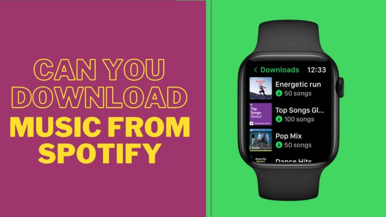 Quick and Easy: Can You Download Music From Spotify