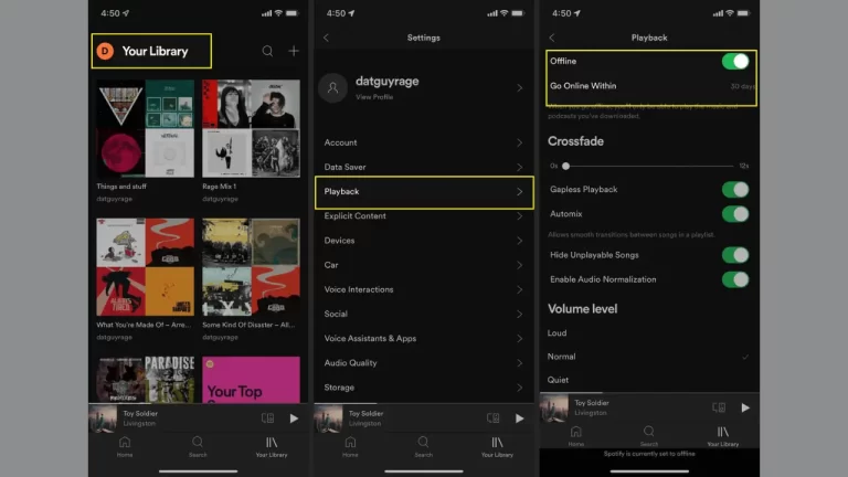 Does Spotify Premium Work Offline