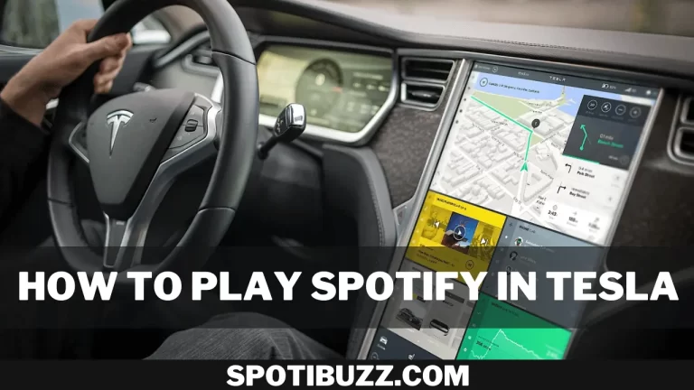 How to Play Spotify in Tesla with/without the premium