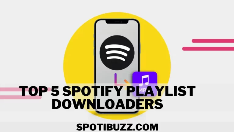 Top 5 Spotify Playlist Downloaders You Need to Know About